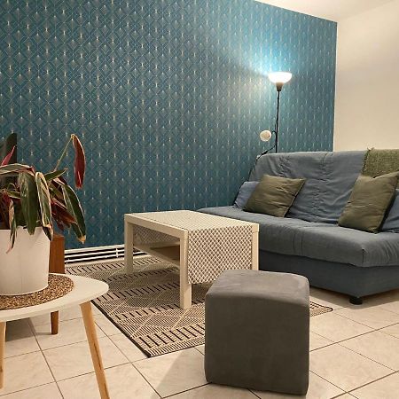 Appartement Cosy Pres De La Gare Avec Parking แซงต์-ปิแอร์-เดส์-กอร์ ภายนอก รูปภาพ